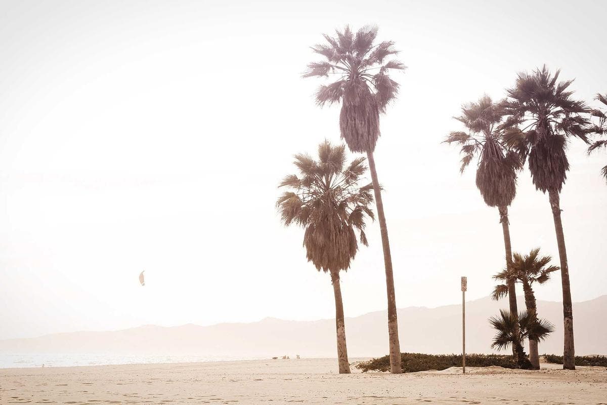 The UK Guide to limited edition luxury apparel