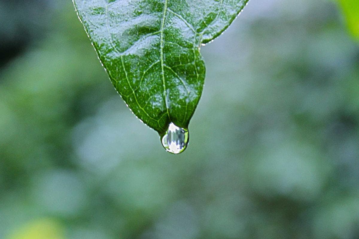 The USA Guide to rare diamond collecting