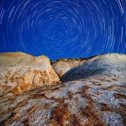 Contemporary Jewelry