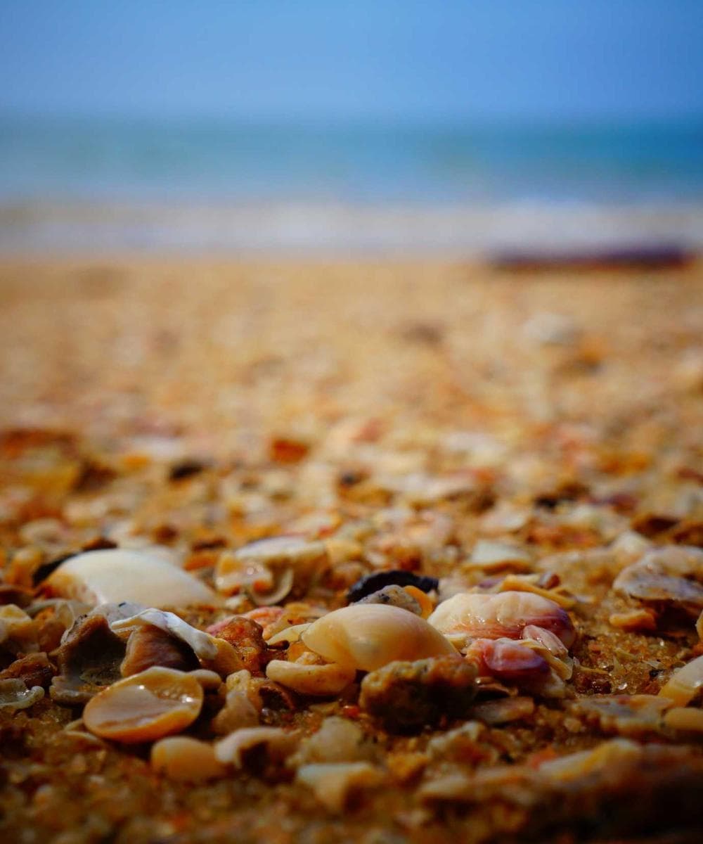 Hermès Kelly Sellier 20 Jaune Mango Epsom Palladium Hardware